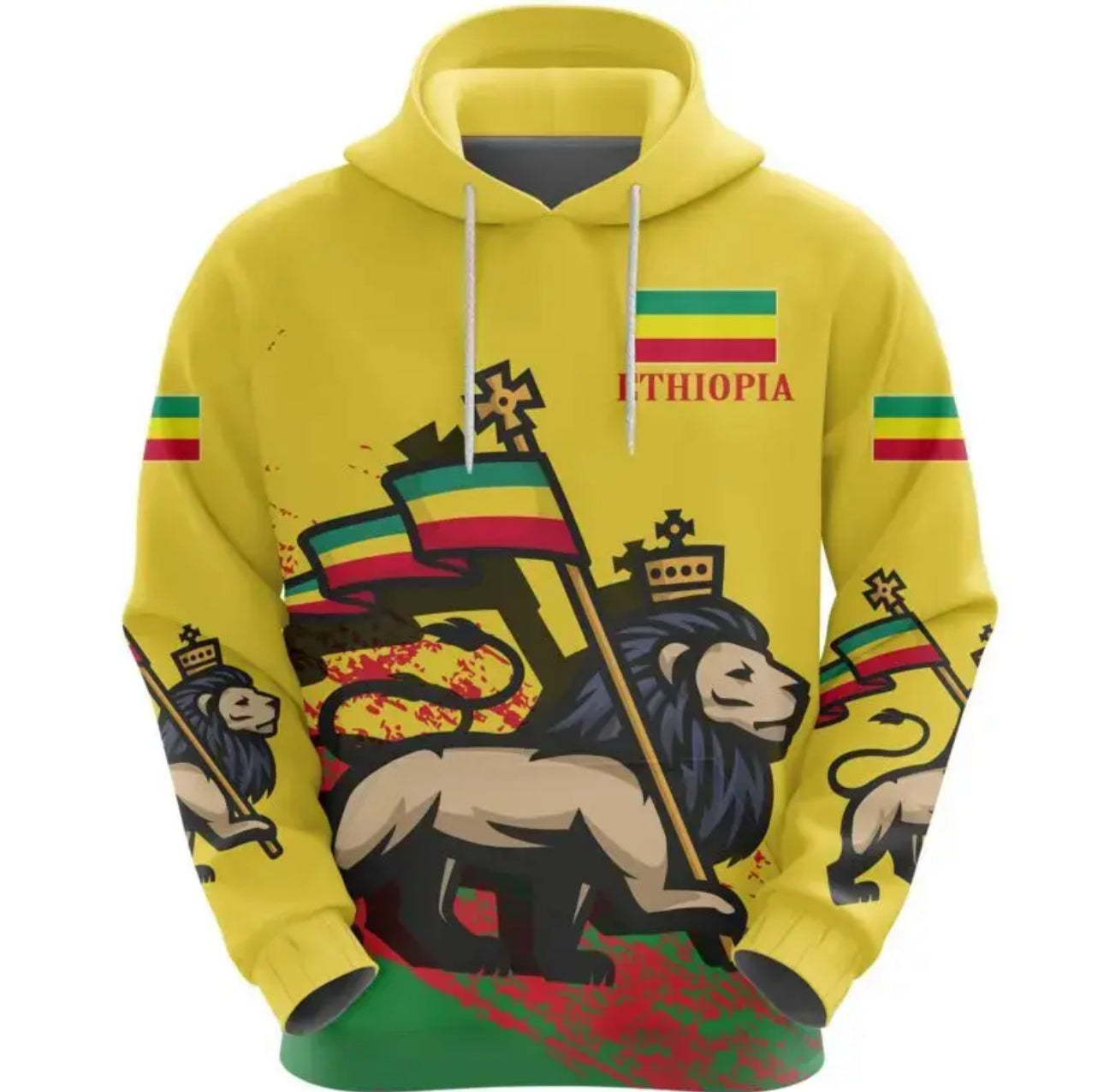 3D Ethiopian Flag Lion Printed Hoodies For Kids